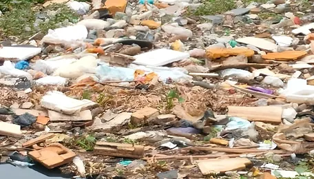 Chennai Water Sources Face Pollution Alarm