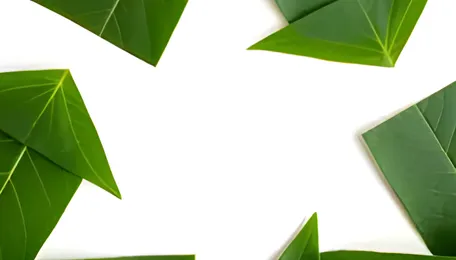 Avro India Launches Largest Flexible Plastic Recycling Unit