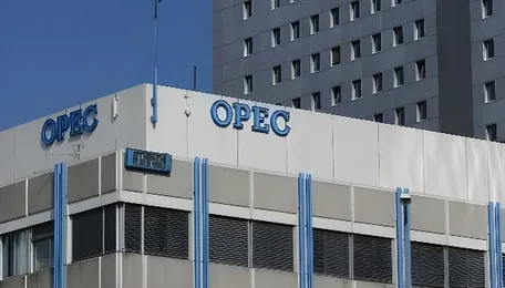 UAE’s OPEC Exit: Implications and Opportunities for India’s Oil Diplomacy 