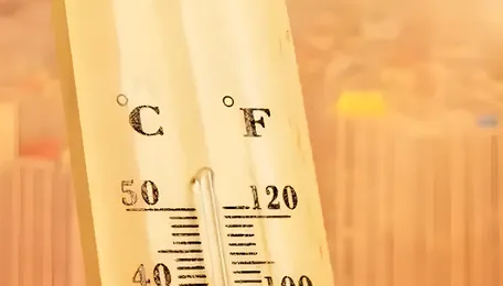 Kochi Heat Alert Signals Rising Urban Climate Stress