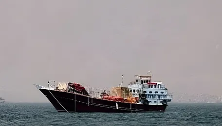 15 vessels carrying urea, DAP and Sulphur cross Strait of Hormuz safely, says govt 