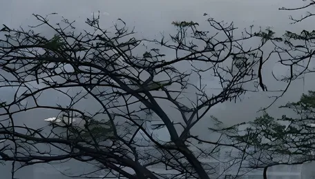 Pune Air Quality Platform Strengthens Urban Planning