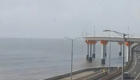 BEST Bus Services Limited On Coastal Corridor