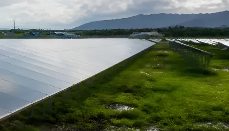 Tamil Nadu Solar Power Hits Record 8,818MW in October