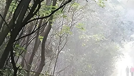 Pune Experiences Early Winter End As Temperatures Rise