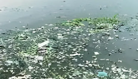Pune River Waste Crisis Sparks Student Action