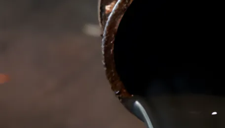 India says refiners have secured crude oil needs, including from Iran, dismisses diversion claims 