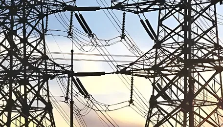 India's power grid race: Can supply keep pace with surging demand? 