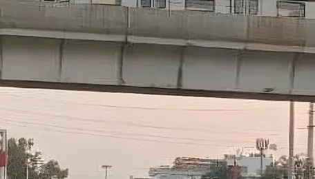 Indore Metro Ridership Crosses 60,000 In 24 Days, Revenue Surpasses ₹26 Lakh 