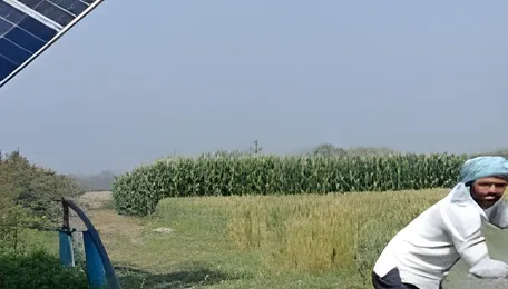 Solar irrigation and groundwater conservation: Can electricity markets change farmer incentives? 