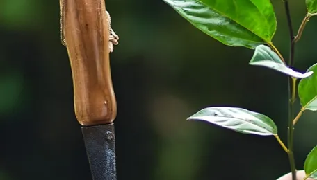 Maharashtra Signs Pact For Large Scale Tree Plantation