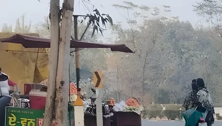 Unauthorised highway vends heighten accident risk in fog 