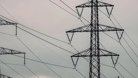 Assam eyes over 8,000 MW new power capacity, major push for renewables 