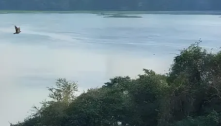 Powai Lake Restoration Underway With Green Safeguards