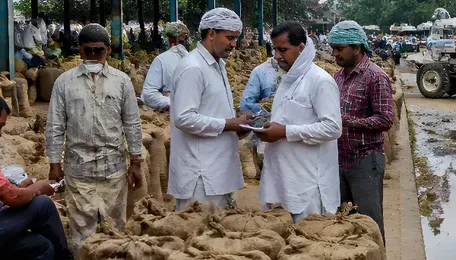 Haryana Orders 48-Hour Fix for Paddy Procurement Complaints