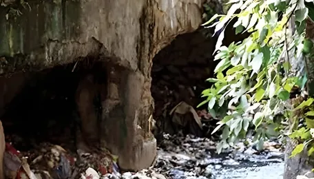Navi Mumbai Strengthens Water And Drainage Networks