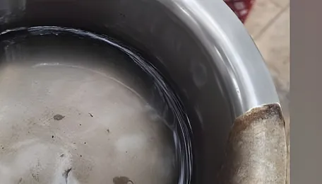 Black and smelly water leaves Bengaluru's Shantinagar residents worried 