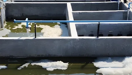 CSIR-IICT hands over green effluent treatment plant to Pochampally Ikat village 