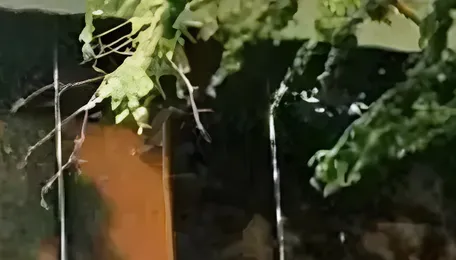 Pune Convention Centre Project Faces Land Use Concerns