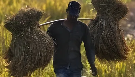 West Bengal Economic Regions Aim For Sustainable Growth 