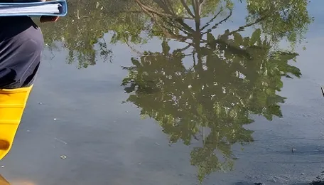 KMC to boost pond infrastructure linking ecology with sustainable tourism