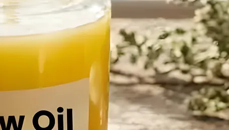 German Tallow Oil Price Continues Incline in January Post 2.8% December Rise