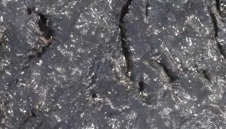 20 Bidders, Five Beneficiaries: Rare-Earth Magnet Race Signals Changing Market Competition 