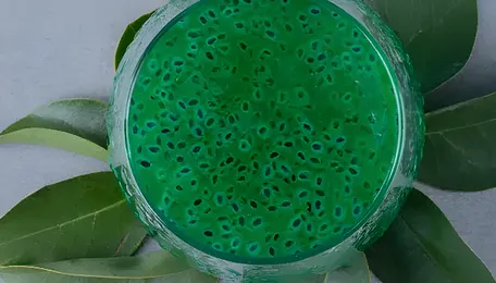 NTPC Green Energy Signs MoU With Assago For Green Urea