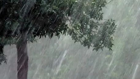 Nagpur Environment Status Raises Urban Health Concerns