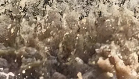 DJB okays projects to fix billing issues, boost river cleaning