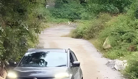 Tata Nexon.ev Becomes First Electric Car To Reach Zero Point In North Sikkim 