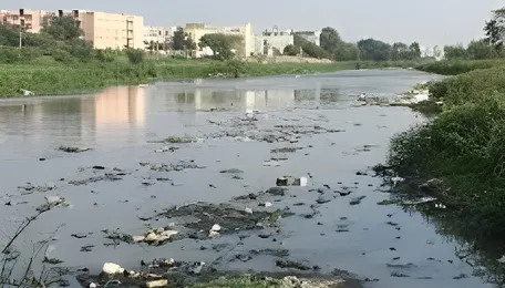 Hyderabad Region Rivers Show Severe Bacterial Pollution