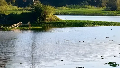 Pune Civic Officials Reinstated After Lake Crisis