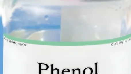 Global Phenol Prices Ease from Peak but Stay Firm Week-on-Week 