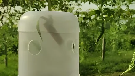 Kovai’s TNAU gets patent for formulating chemical to control melon flies in gourds 