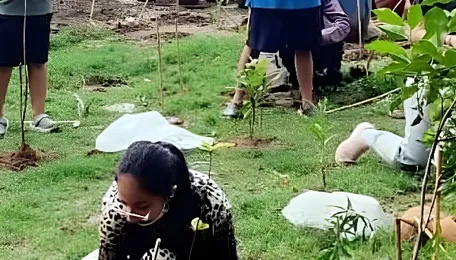 Bengaluru Green Future Needs More Than Tree Planting