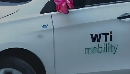 Delhi NCR Mobility Market Adds WTicabs Services