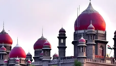 ‘Playing fraud on this court’: Telangana HC orders audit of power connections given on undertakings 