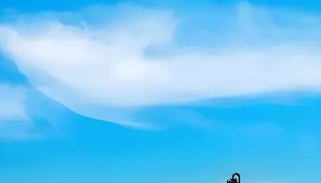 Ethanol capacity surges but 20% blending cap limits demand