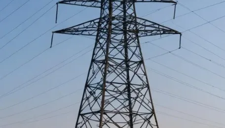 Power Grid acquires Lakadia C Power Transmission for ₹19.94 crore 