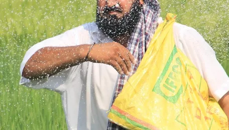 Balancing fertiliser use for higher yields and sustainable agriculture 