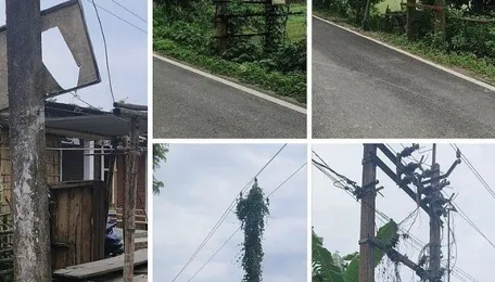 Gross negligence by Power department in Assam’s Nalbari district raises serious safety concerns - The Sentinel 