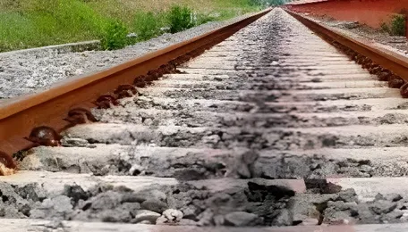 Two southern Odisha railway projects on fast track