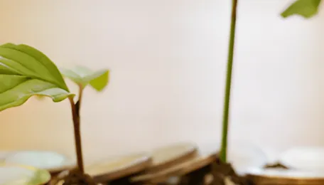 Luminous Power Technologies Partners with SIDBI to Expand Solar Financing Access for MSMEs