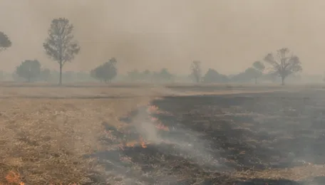 Stubble Burning in Punjab Triggers Fresh Delhi Air Pollution Row
