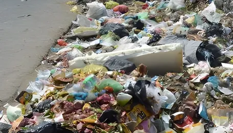 Nagpur Waste Management Plan Faces Scale Concerns