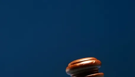MPERC Rejects Capacity-Based Transmission Billing Plea for Renewables