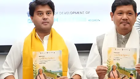 Meghalaya Launches Rs 1.75 Billion Mission for Lakadong Turmeric