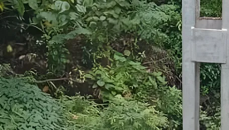 Trains on Bengaluru-Mangaluru sector to run on electric traction end-to-end soon 