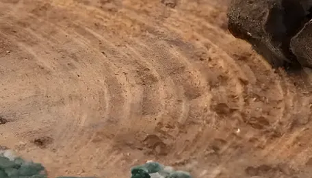 Lignin emerging as a petrochemical alternative 